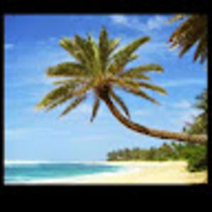 Meet your Posher, Tracey